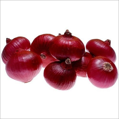Qualtivate HYB-3A Red Onion Seeds Seed(500 per packet)