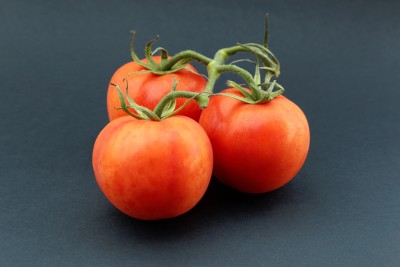 Quentova Tomato-HQL-22S Seed(250 per packet)