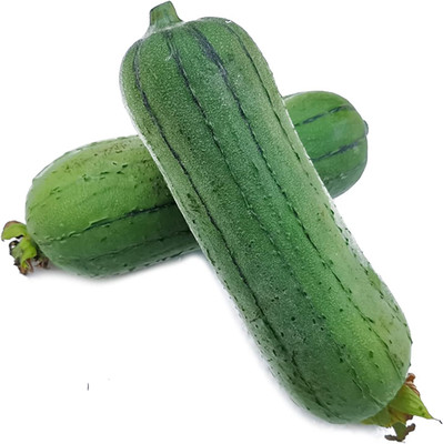 KNESSiN Heat Tolerant SPONGE GOURD Vegetable Seeds For Gardening (500 Seeds) Seed(500 per packet)