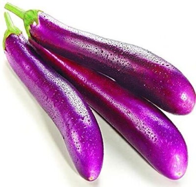 Garden Basket Hubb Brinjal Long Seed(100 g)