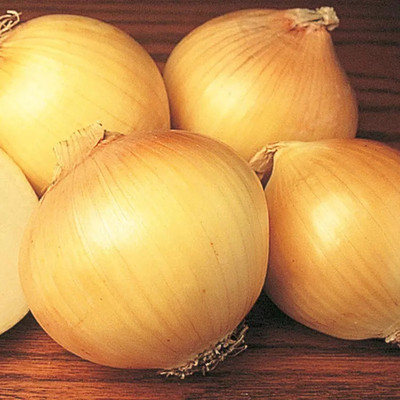 WATIKA Yellow Sweet Onion Seed(1000 per packet)