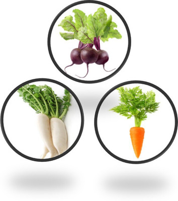 Cloud Farm Root Seeds Combo Set of 3 Pack (Carrot, Radish & Beetroot) Seed(3 per packet)