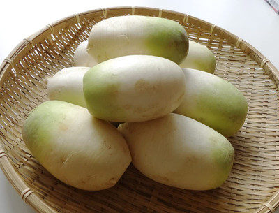 VibeX XL-63 - Korean Daikon Radish -Summit - (250 Seeds) Seed(250 per packet)