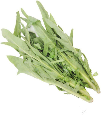 WILLVINE Arugula (Eruca) Seeds Heirloom, Non-GMO-[500 Seeds] Seed(500 per packet)