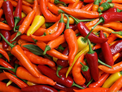 DIVINE CHILLI , PEPPER Seed(100 per packet)