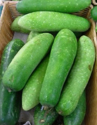 Avysa NAM TAO YAI Bottle Gourd Seeds Seed(100 per packet)