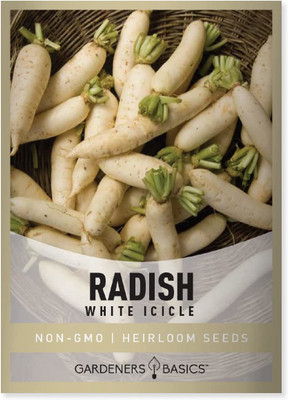 CYBEXIS VVI-21 - White Icicle Radish - (2250 Seeds) Seed(2250 per packet)