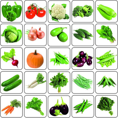 ibains Vegetable seed Seed(440 per packet)