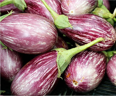 UGRA Rosa Bianca Eggplant Vegetable Seed(50 per packet)