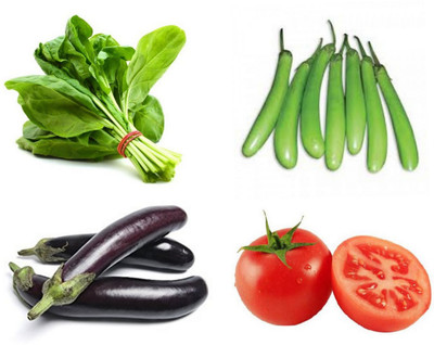 SimXotic Combo of Palak & Brinjal Green & Purple long & Tomato Seeds Seed(50 per packet)