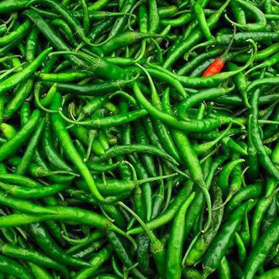 Arshiayat CHILLI (MIRCH OR MIRCHI) Seed(100 per packet)