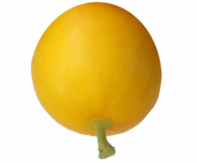 CYBEXIS GBPUT-10 - Cucumis Melon Fruit -Yellow - (1350 Seeds) Seed(1350 per packet)