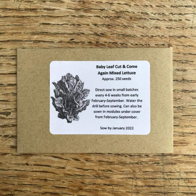 KNESSiN Baby Leaf Mixed Lettuce Seed(200 per packet)