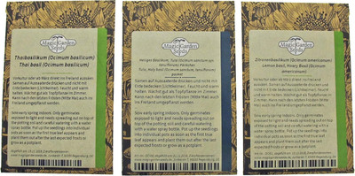 WILLVINE 3 Asian Basil Varieties with Exceptional Aromas-[2000 Seeds] Seed(2000 per packet)