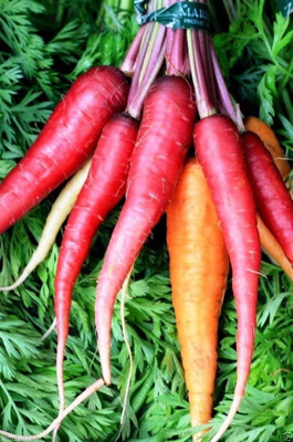 VibeX ® VXI-287 Rainbow Carrot Mix Seeds Seed(500 per packet)