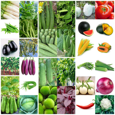 abiswas 40 Variety Summer Vegetable Combo Seed(3000 per packet)