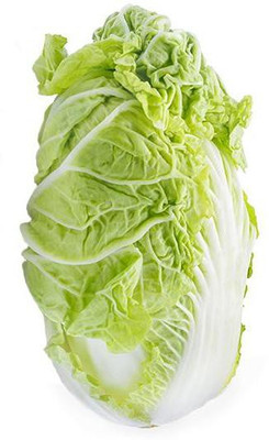 CYBEXIS CHINESE CABBAGE SEEDS800 Seeds Seed(800 per packet)