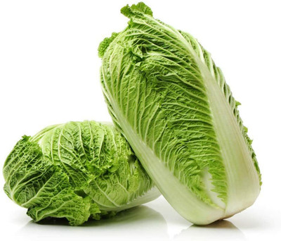 CYBEXIS Cabbage Seeds Prolific Easy Survive500 Seeds Seed(500 per packet)
