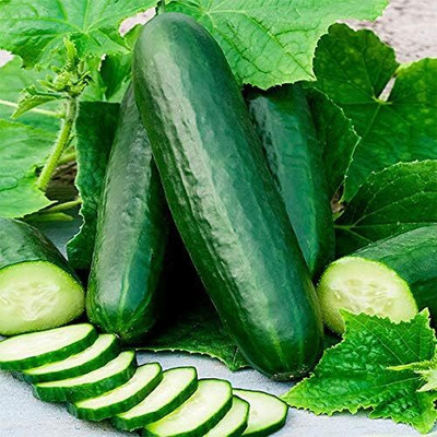 KNESSiN Cucumber Mini Stars Seed(200 per packet)