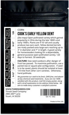 WILLVINE SYN -XII Cooks Early Yellow Dent Corn-[100g] Seed(400 per packet)