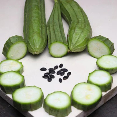 SeeGreen hybrid ridge Gourd Seeds 5 pcs per packet Seed(5 per packet)