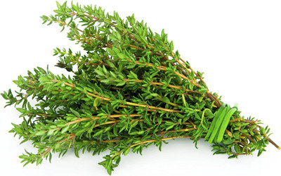 CYBEXIS NDIR-34 - Garden - Thyme - (1350 Seeds) Seed(1350 per packet)