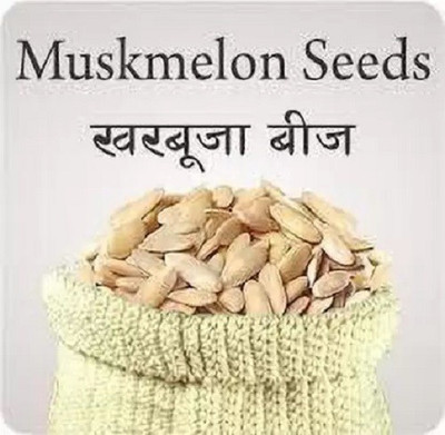 VibeX XL-97 - Durgapur Madhu Kharbuj / Musk Melon - (150 Seeds) Seed(150 per packet)