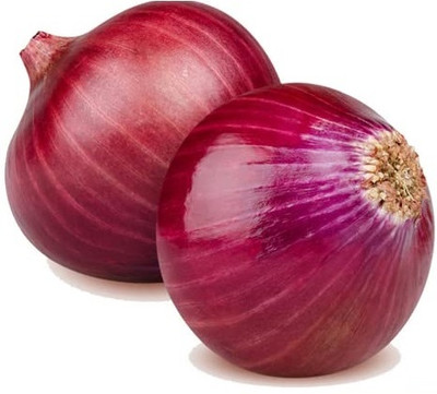 KNESSiN Heirloom Punjab Selection Red Onion Seeds For Gardening-(2400 Seeds) Seed(2400 per packet)