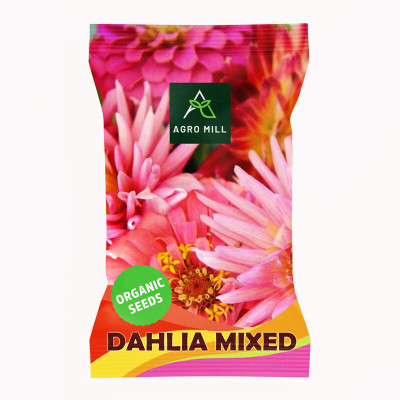 AGRO MILL DAHLIA MULTIFLORA DOUBLE MIXED PREMIUM QUALITY FLOWER Seed(20 per packet)