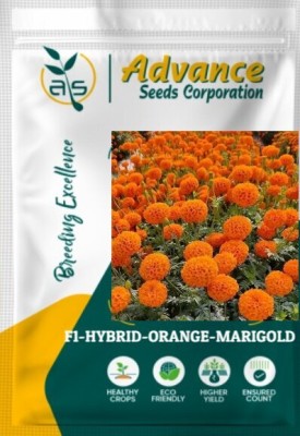 agri max gardens AGRIMAX GARDENS F1 HYBRID ORANGE MARIGOLD FLOWER SEEDS & PLANT Seed(1000 per packet)