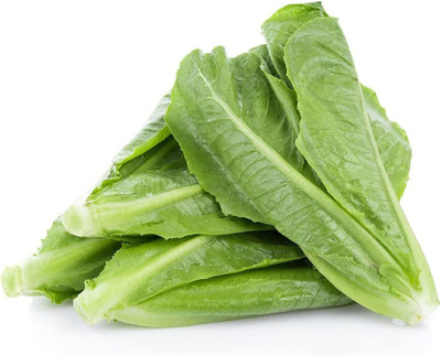 VibeX VVI-4 - Romaine Lettuce - (1350 Seeds) Seed(1350 per packet)