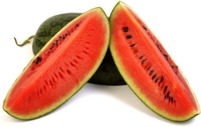 CYBEXIS ATS-84 - Striped Klondike Blue Ribbon Watermelon - (450 Seeds) Seed(450 per packet)