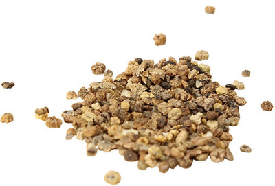 wequality cochia seeds/Kochia seeds 33 Seed(33 per packet)