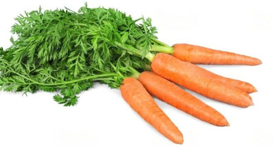 Aywal Organic Carrot Seeds For Growing Seed(650 per packet)