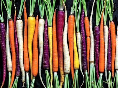 VibeX ® VLR-239 Carrot Mix of 6 Colorful Varieties Seed(500 per packet)