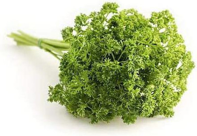 VibeX LXI-22 - Triple Curled Parsley - (2250 Seeds) Seed(2250 per packet)