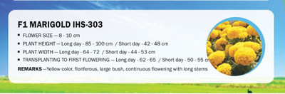 CYBEXIS F1 MARIGOLD IHS-303(1000 Seeds) Seed(1000 per packet)