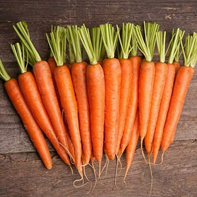 CYBEXIS Hybrid Carrot Vegetable Seeds1000 Seeds Seed(1000 per packet)