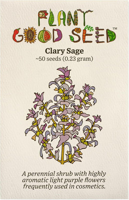 Qualtivate HUA-1A Clary Sage Seed(100 per packet)