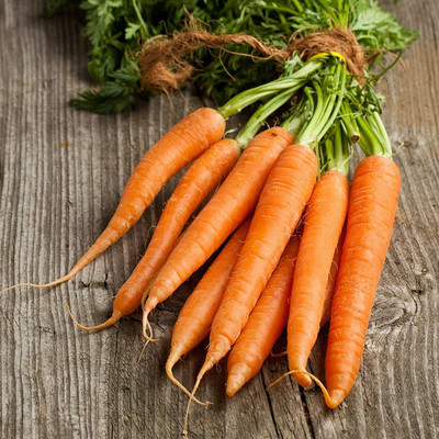 SEEDSKLUB Carrot Gajar Seed For Planting For Home And Gardening 2000 Seeds D7 Seed(2000 per packet)