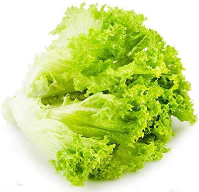 CYBEXIS Lettuce Seeds Pollution-Free Green Vegetables2000 Seeds Seed(2000 per packet)