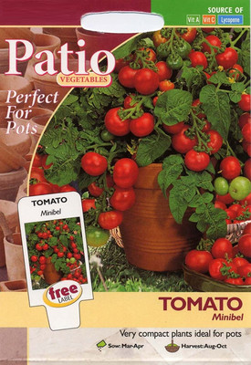 KNESSiN Vegetable - Tomato Minibel[400 Seeds] Seed(400 per packet)