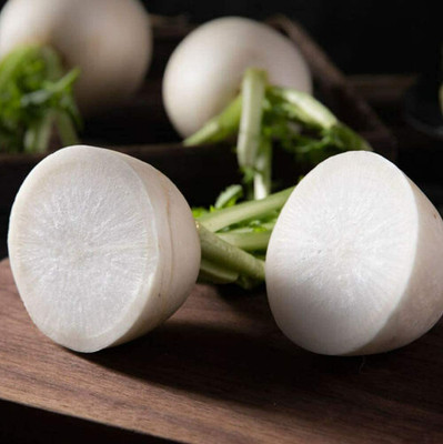 CYBEXIS Heirloom White Radish Seeds Non-GMO Heirloom2400 Seeds Seed(2400 per packet)