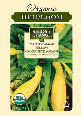 Qualtivate PUA-7A Certified Yellow Crookneck Summer Squash Seed(30 per packet)