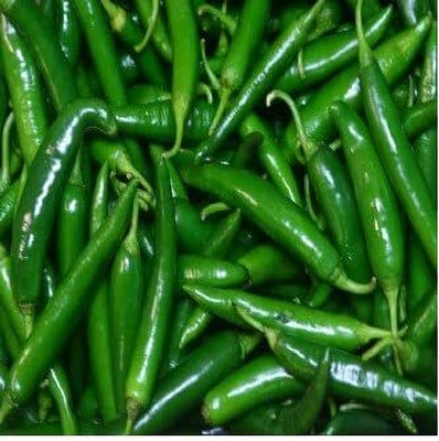 LPR CHILLI,HARI MIRCHI Seed(300 per packet)