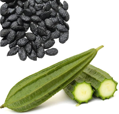 KNESSiN Natural & Traditional Ridge Gourd Seeds Seed(500 per packet)