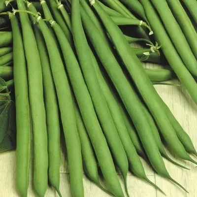 Aro Beans, French Beans Seed(10 per packet)