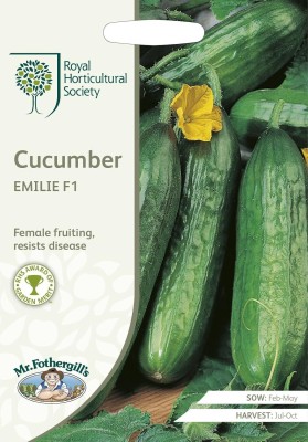 KNESSiN Cucumber Emilie Seed(200 per packet)