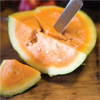 VibeX LX-81 - Orange Watermelon (Citrullus lanatus) - (450 Seeds) Seed(450 per packet)
