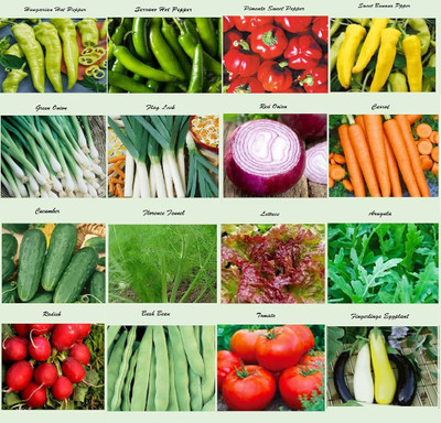 abiswas All Season Vegetable Combo Pack With High Germination Seed(1700 per packet)